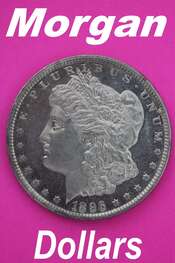 Morgan silver dollars